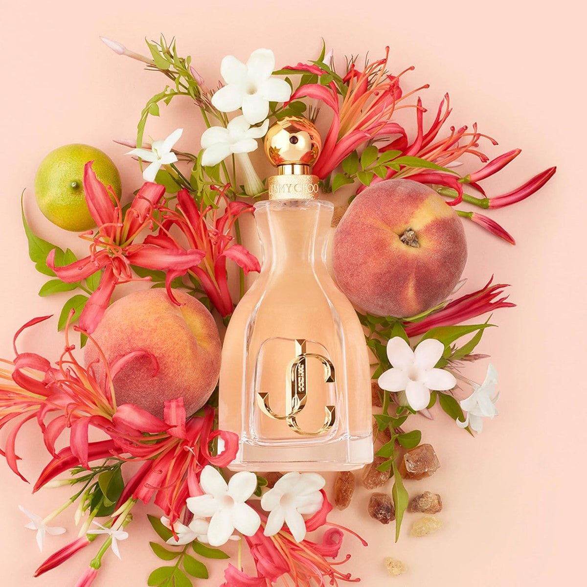 I W*nt Choo Eau De Parfum β’ 100ml