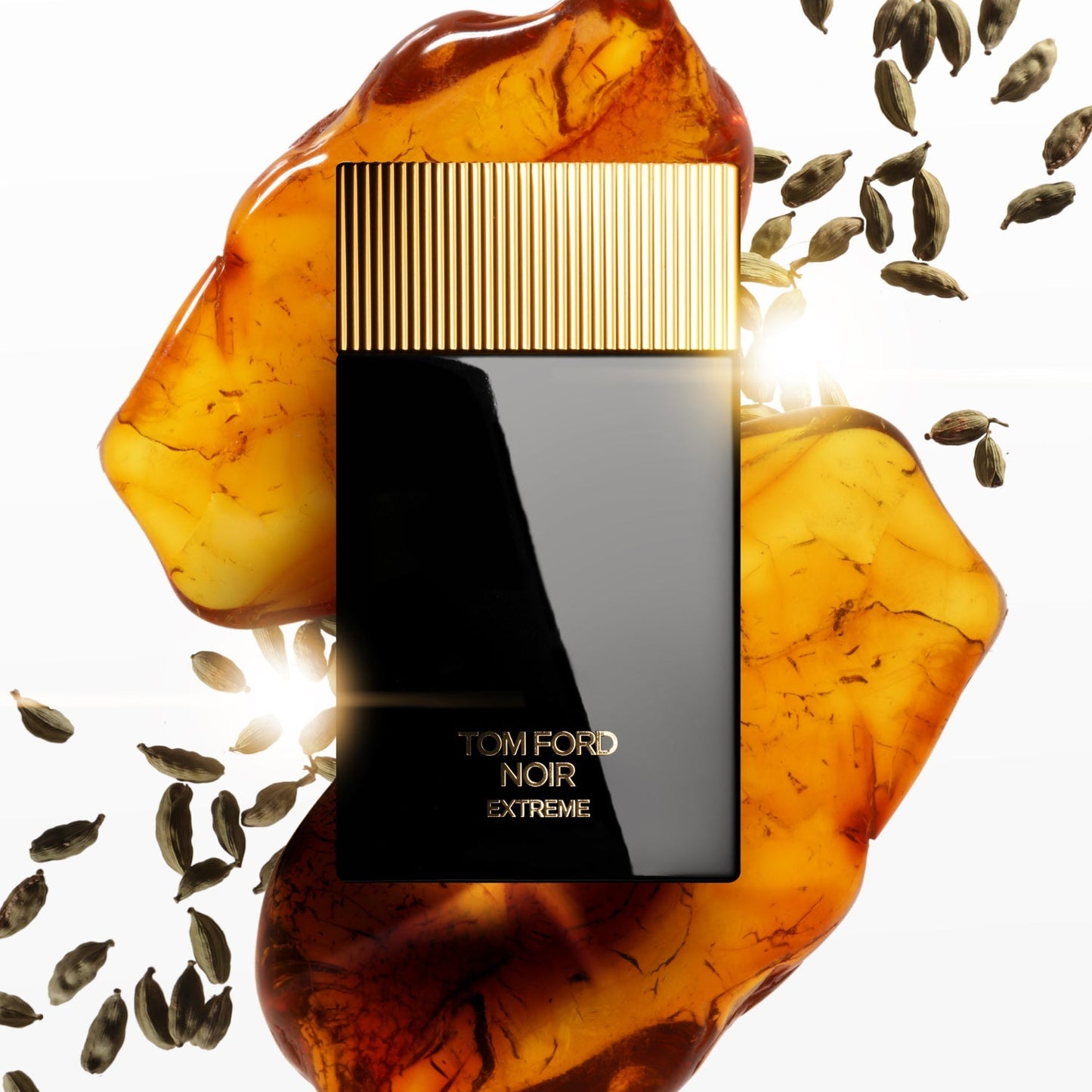 Tom F*rd  Noir EDP Extreme • 100ml